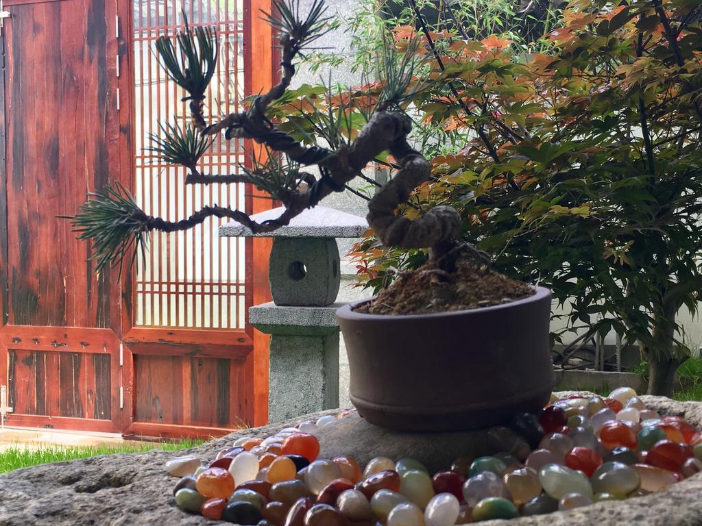 Bo Nan Homestay Tali Kültér fotó